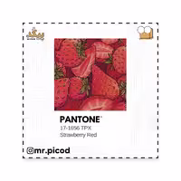 استیکر مستر پیکد طرح PANTONE کد PCD-ST1357