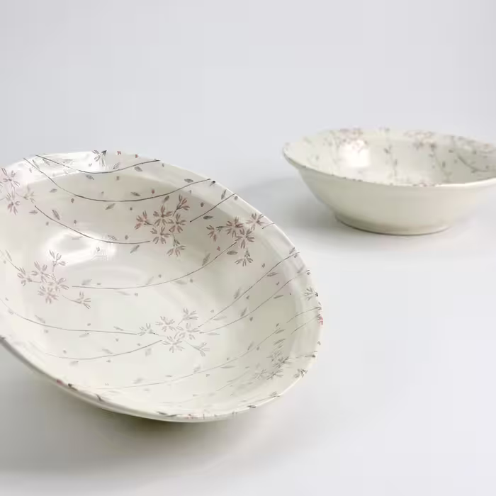 پیاله سرامیکی هاسامی (Hasami Ceramic Bowl)