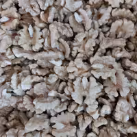 مغز گردو تویسرکان نیم کیلو درجه یک