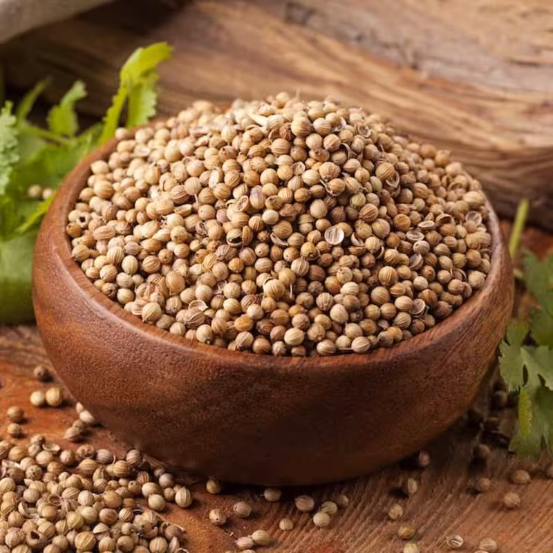 تخم گشنیز درشت