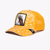 کلاه گورین مدل Spray Paint Arch