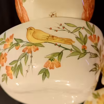 ست 7 تکه آجیل خوری سرامیکی هیوا طرح نارگل مدل رز کد 11312010