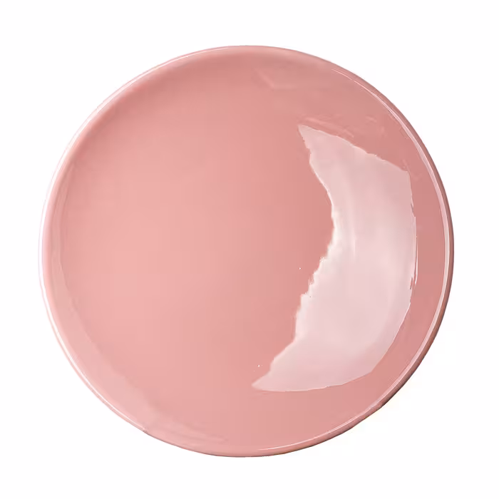 بشقاب غذاخوری مدل سرامیکی بسته 6 عددی