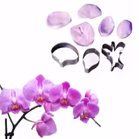 ست کاتر و وینر گل ارکیده