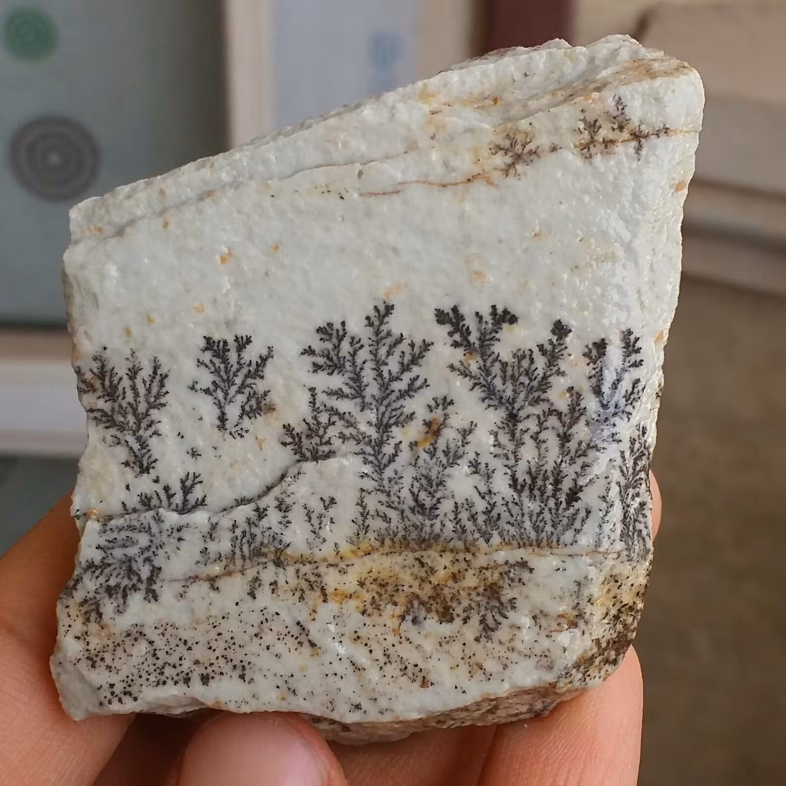 سنگ راف 100 در 100 طبیعی شجر دندریتی یا فسیلی محشر خاص شاهکار خلقت
شجر واضح خاااااااااص

کد10648