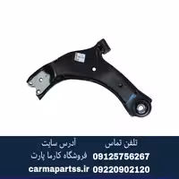 طبق چپ شاهین
