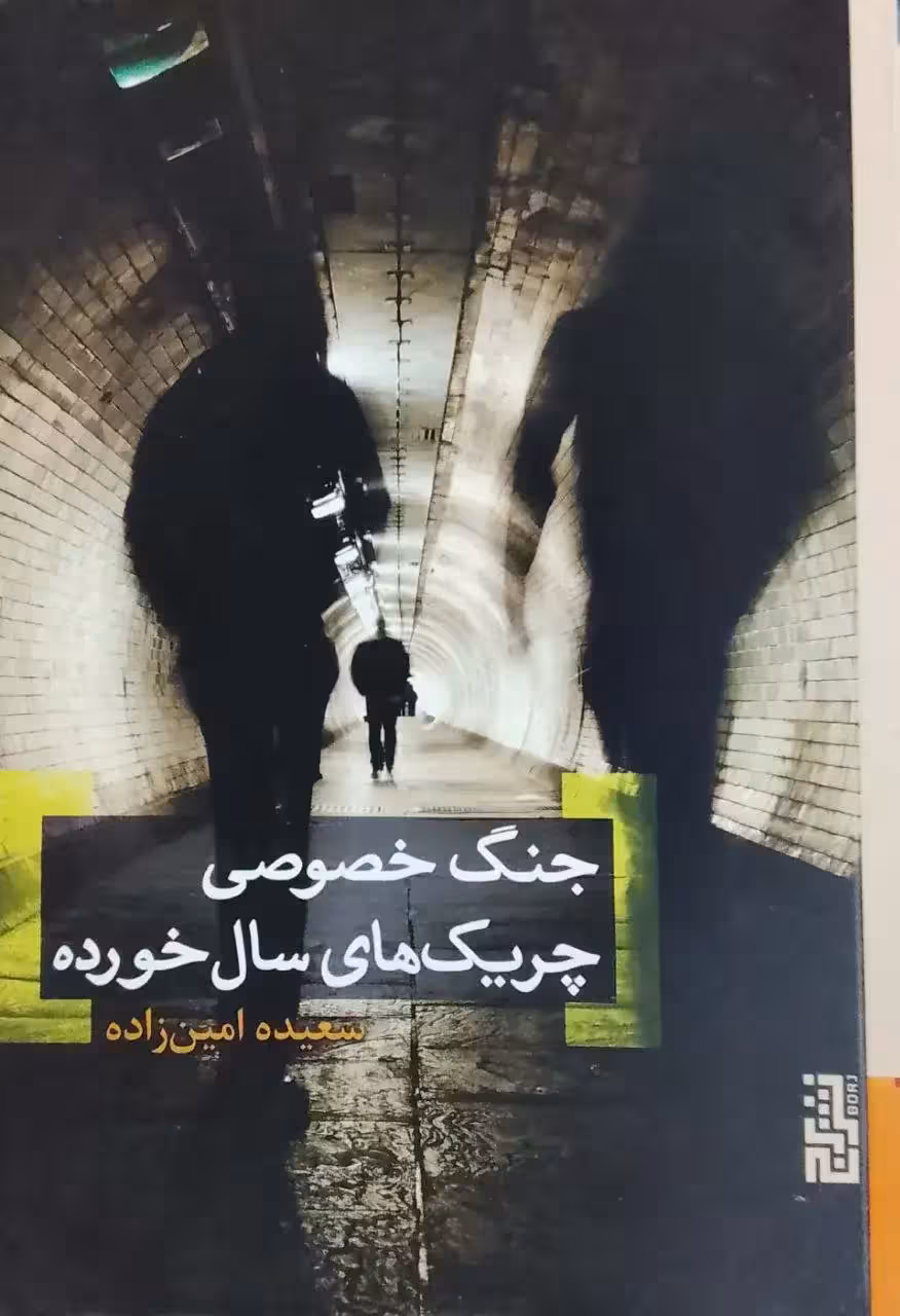 جنگ خصوصی چریک های سال خورده نوشته سعیده امین زاده