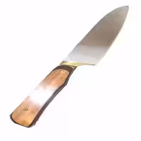 چاقوی آشپزخانه زنجان 20 سانتی SG-189