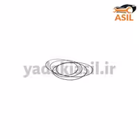 اورینگ بوش و پیستون 206 ویژن