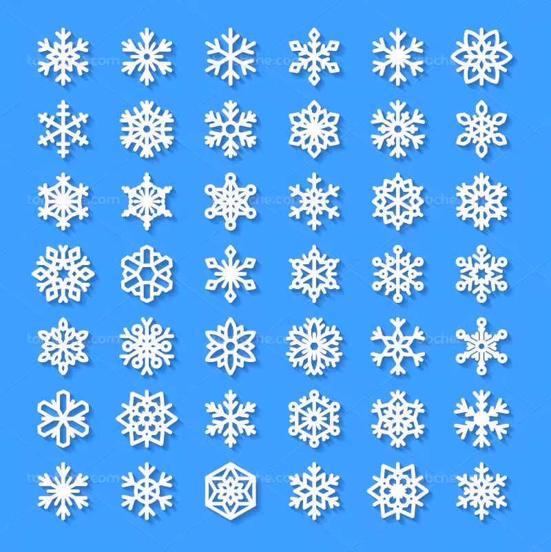 وکتور دانه برف زیبا | گرافیک با طعم تربچه