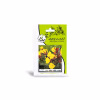 بذر مغربی پابلند معطر زرد آرکا بذر ایرانیان