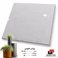 سرامیک prince پرنس _60*60 کاشی و سرامیک آبادیس
