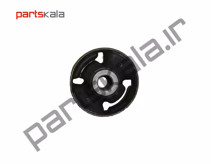 بوش‌ طبق بزرگ سانتافه DM