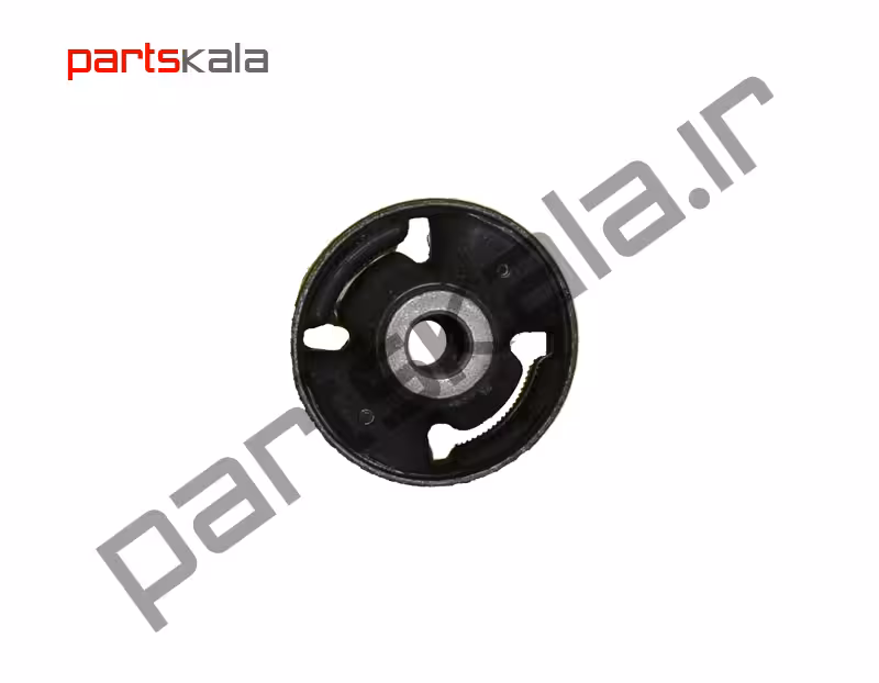 بوش‌ طبق بزرگ سانتافه DM