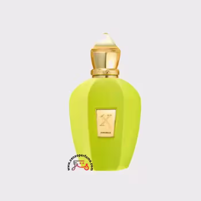 عطر ادکلن زرجف امابیل | xerjoff amabile