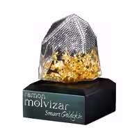 ادوپرفیوم Smart Goldskin از برند Ramon Molvizar