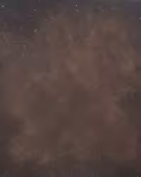 بک دراپ چوبی کد 170 (در 2 سایز)