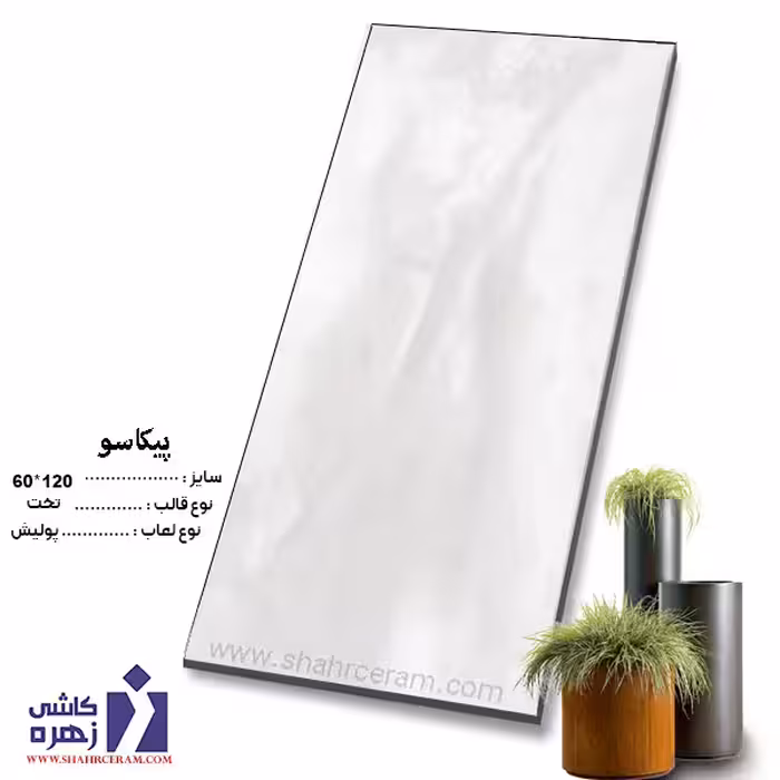 سرامیک پیکاسو 120*60 کاشی زهره