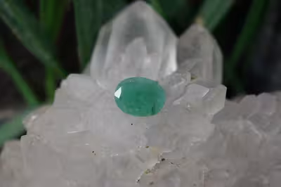 زمرد زامبیا