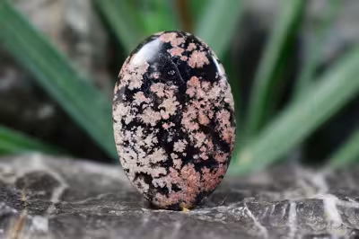 نبولا جاسپر