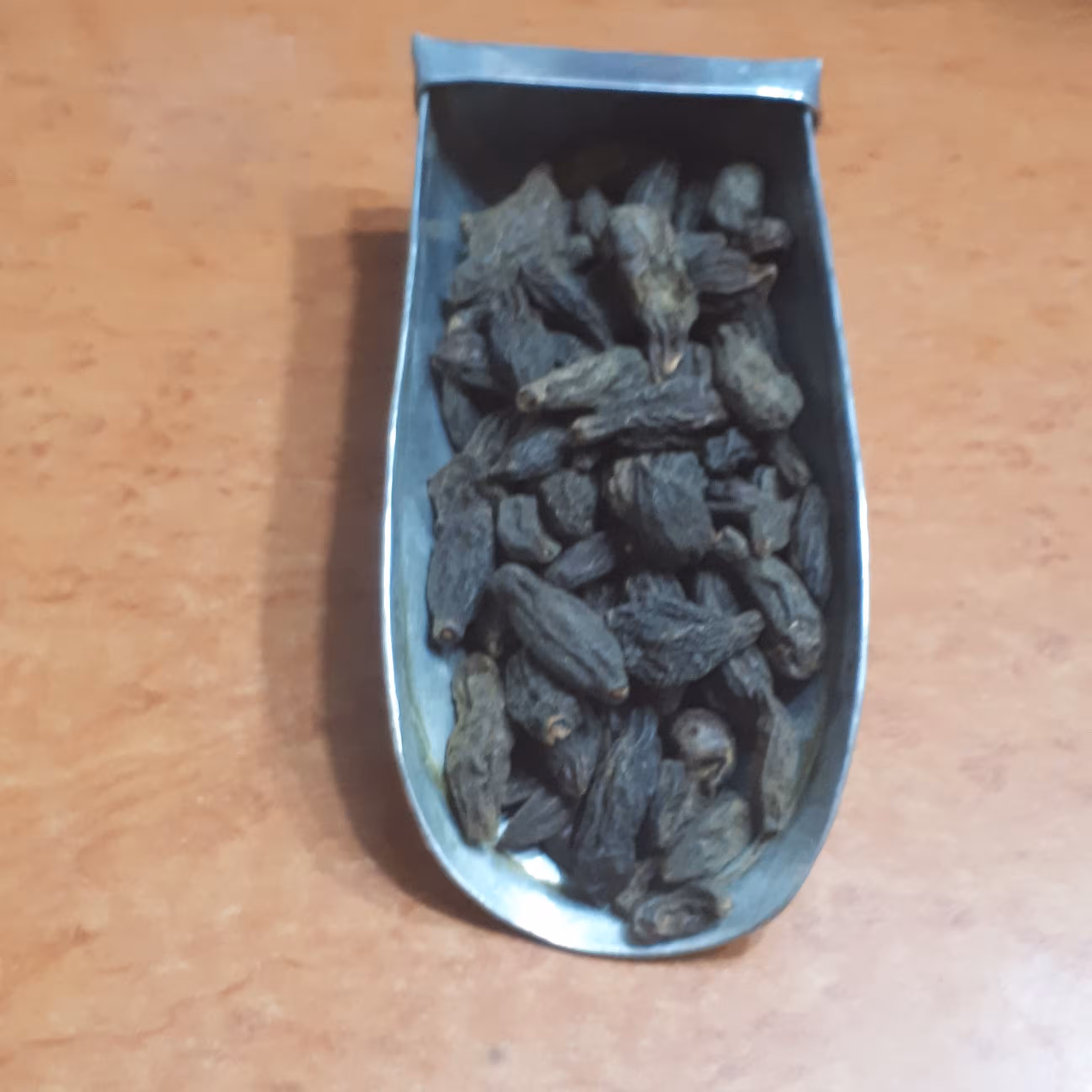 هلیله سیاه اکسیر جوانی