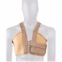 حمایت کننده قفسه سینه