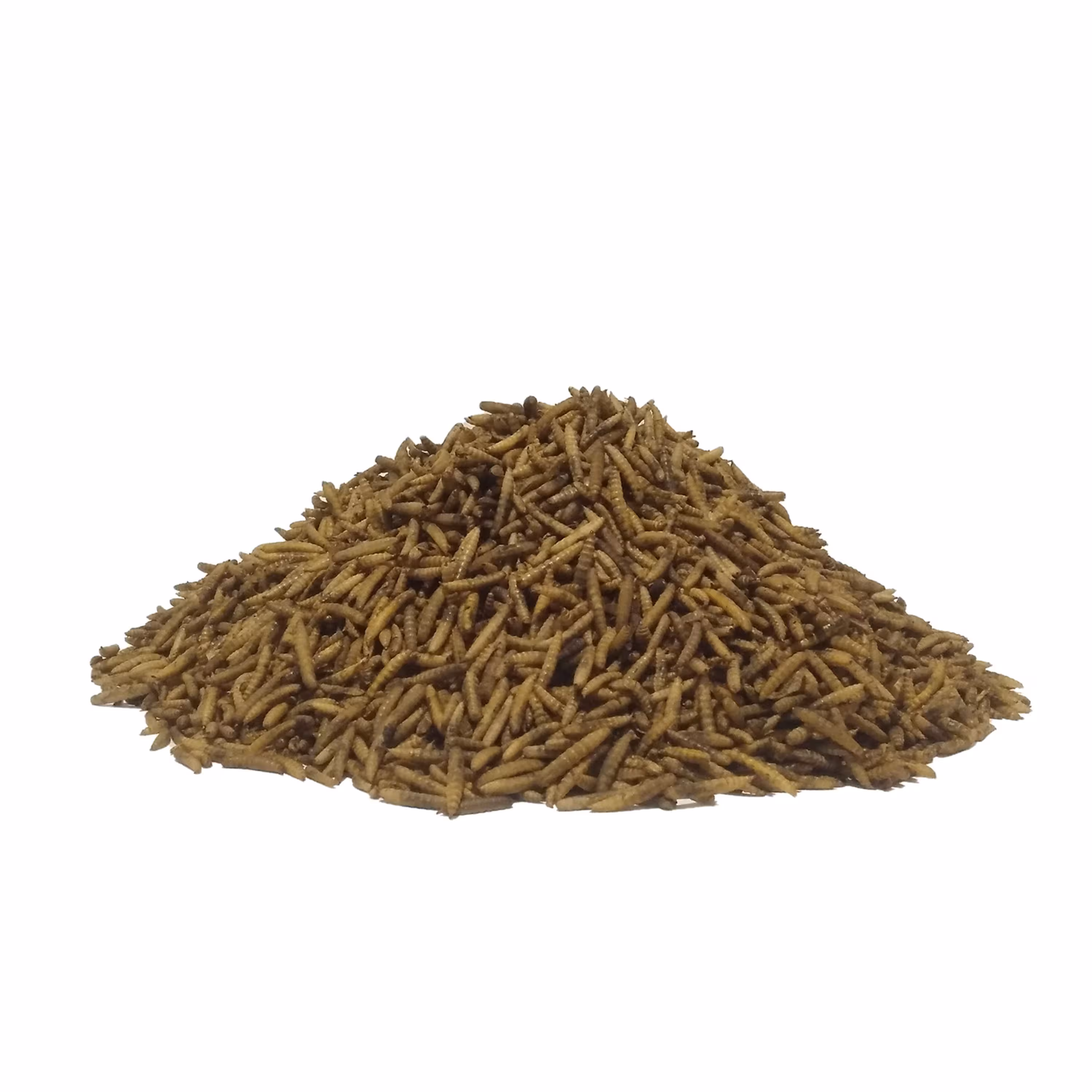 لارو خشک مگس سرباز سیاه یک کیلویی BSFL 1Kg