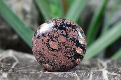 نبولا جاسپر