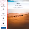 برچسب پوششی ماهوت مدل Camel مناسب برای گوشی موبایل شیائومی Mi 9 SE