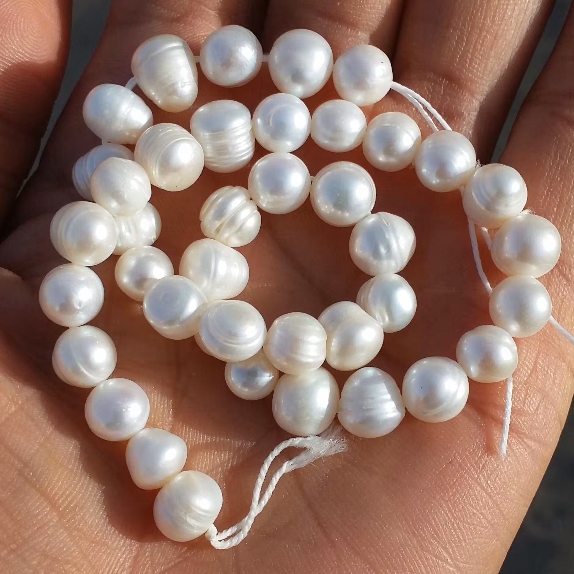 مروارید پرورشی اصل درجه یک 100 در 100 طبیعی سرشار از خواص بینظیر کد 2 قیمت برای یک عدد درج شده