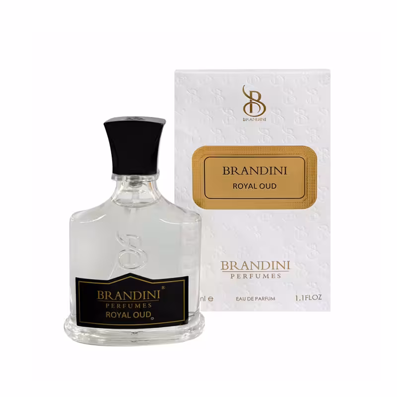 عطر ادکلن زنانه و مردانه برندینی مدل  Silver Mountain