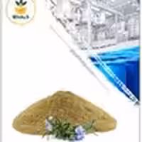 عصاره رزماری خشک یا پودری