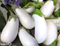 بذر بادمجان سفید دلمه ای