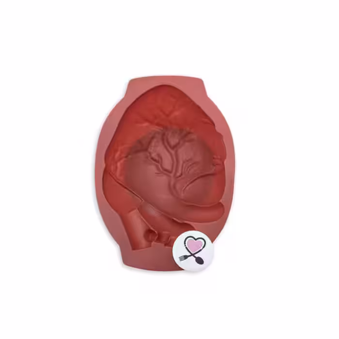 مولد سه بعدی سیلیکونی خارجی اعلا طرح قلب آناتومیک