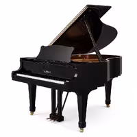 پیانو گرند فویریش مدل F160 داینامیک