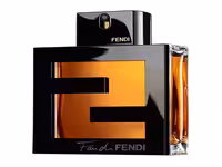 ادکلن مردانه فندی فن دی پور هوم آسولوتو ادوتویلت Fendi Fan Di Pour Homme Assoluto EDT