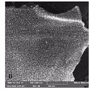 نانوذرهتاسیکلو دکسترین گرافن اکساید ب
