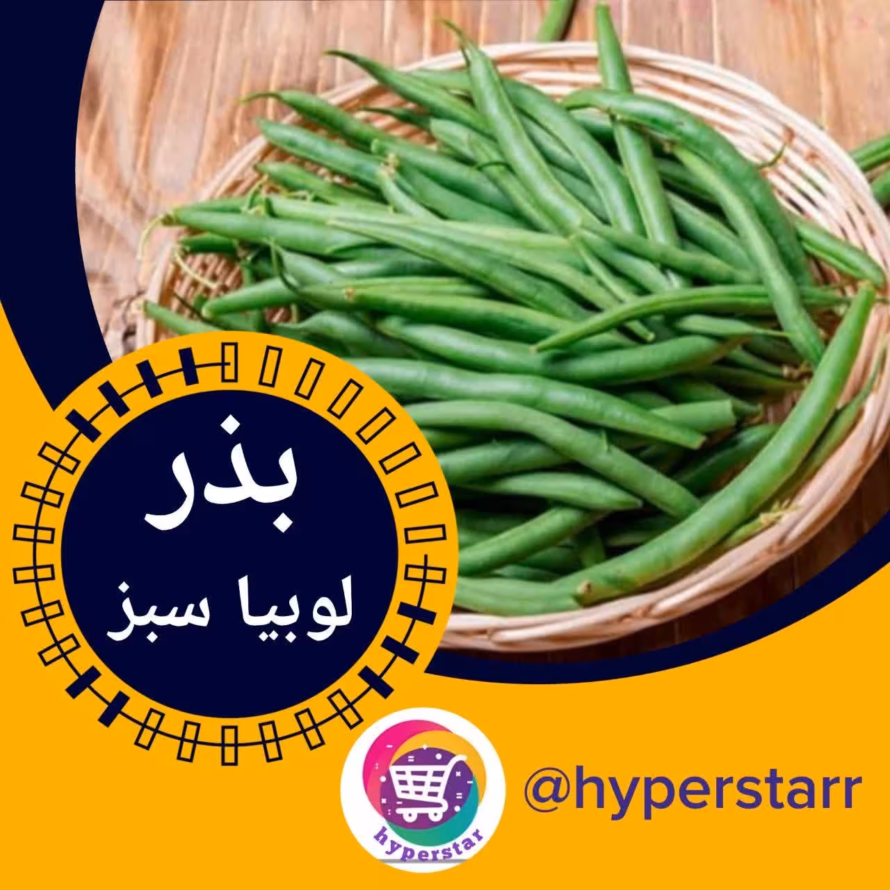 بذر لوبیا سبز 