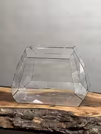 خرید شیشه تراریوم طرح یوفو پلاس ارسال فوری به تهران و سراسر ایران