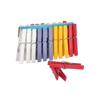 گیره لباس بسته 24 عددی مدل Cameon Pegs برند  تیتیز پلاستیک ترکیه _ شناسه کالا : TP_671