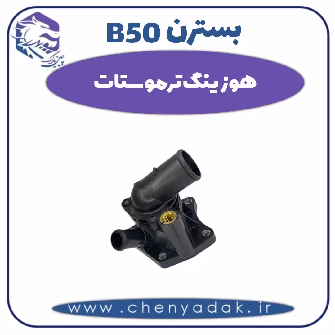 هوزینگ ترموستات بسترن B50