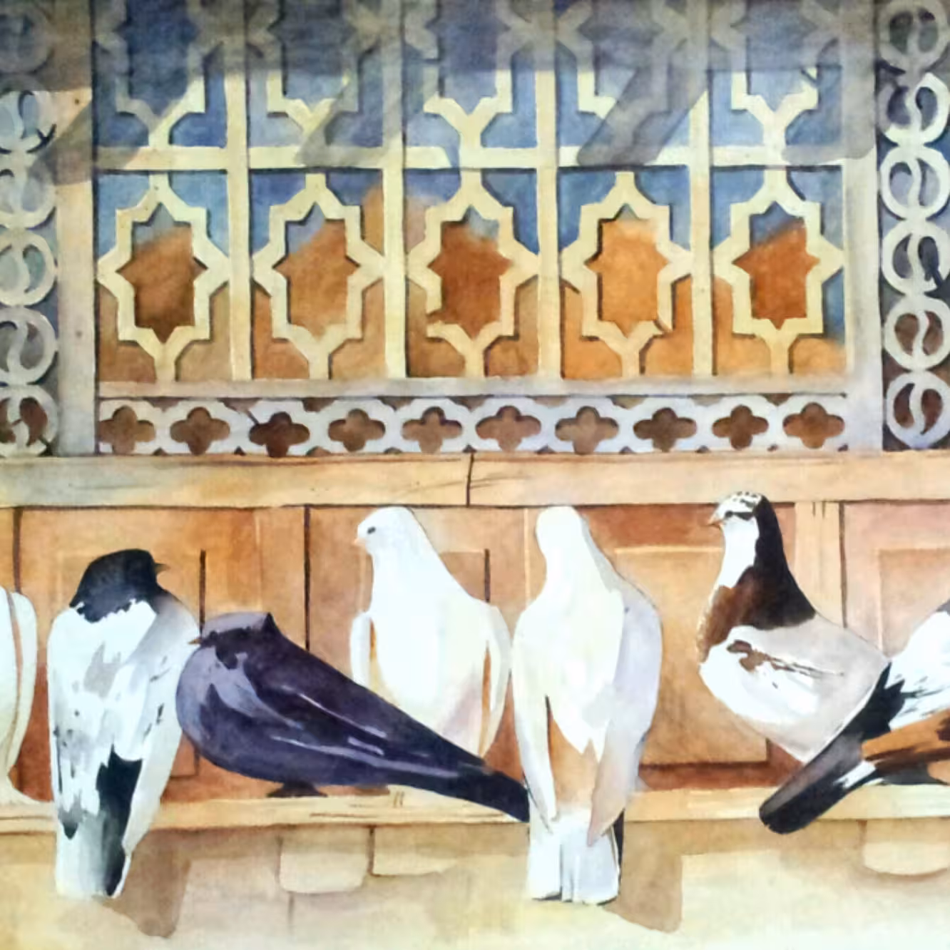 نقاشی آبرنگ کبوتر