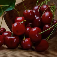 اسانس مایع آلبالو درجه یک در بسته های 100 گرمی