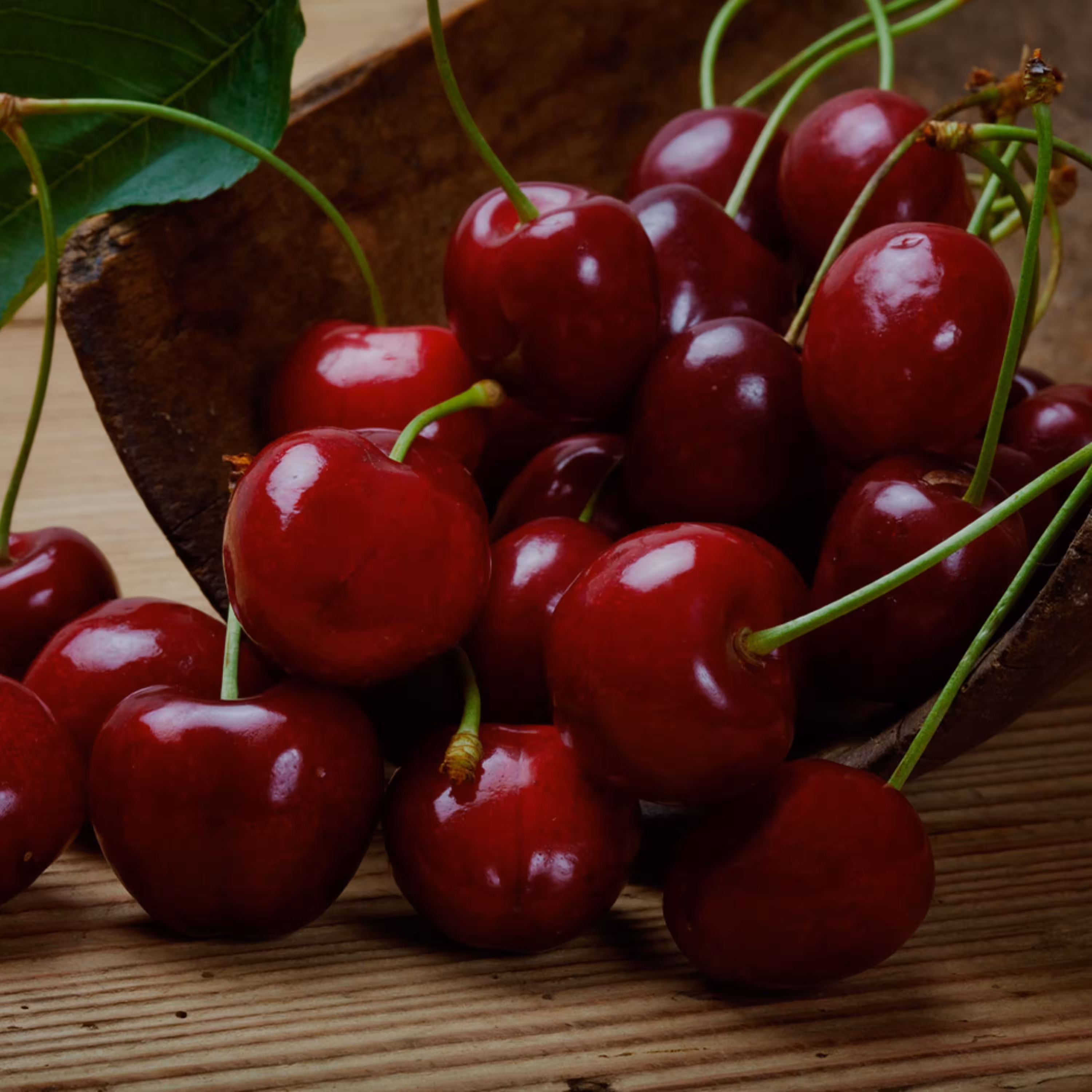 اسانس مایع آلبالو درجه یک در بسته های 100 گرمی