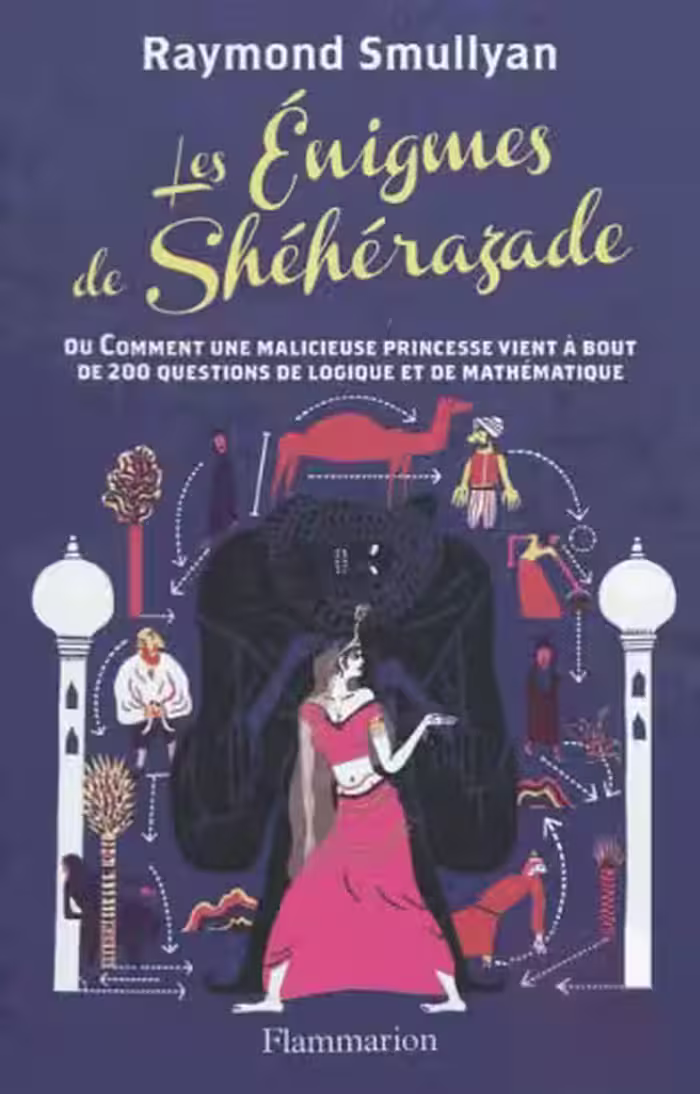 خرید و دانلود نسخه کامل کتاب Les énigmes de Shéhérazade