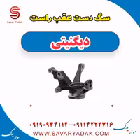 سگ دست عقب راست دیگنیتی