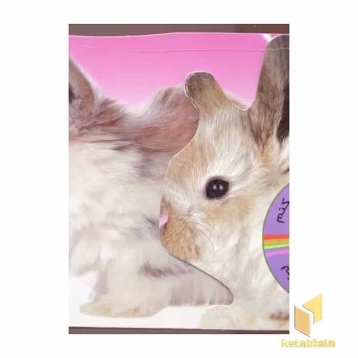 کتاب ببین چه نرمه موهام (حس میکنم)خرگوش اثر ر.م.تیرداد نشر تولد