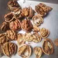 گردو  فسنجونی ( در هم)