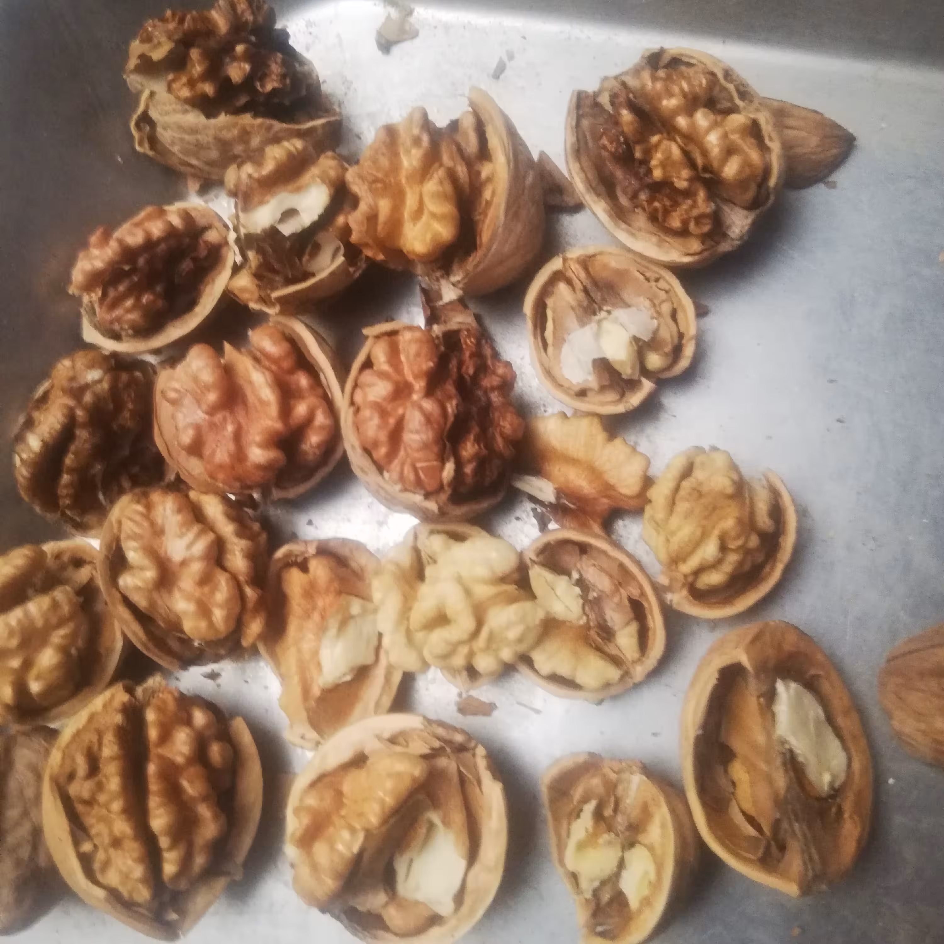 گردو  فسنجونی ( در هم)