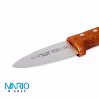 چاقو دسته چوب اکبری تیغه 12.7 سانت WS20